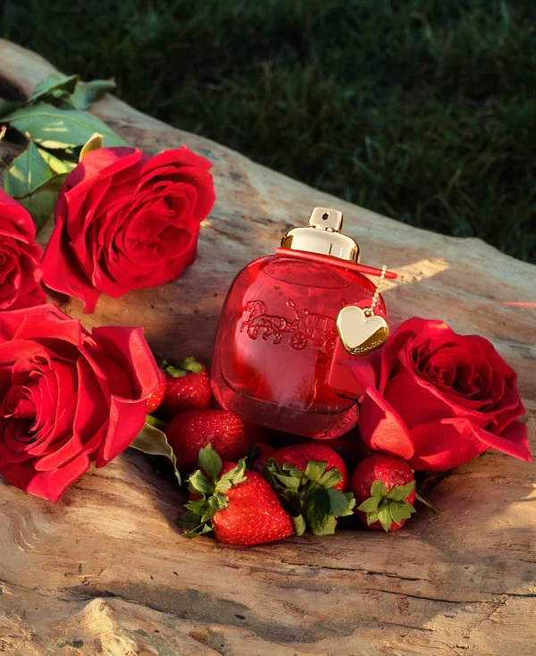COACH Love Eau de Parfum, 3 oz. - Image 5